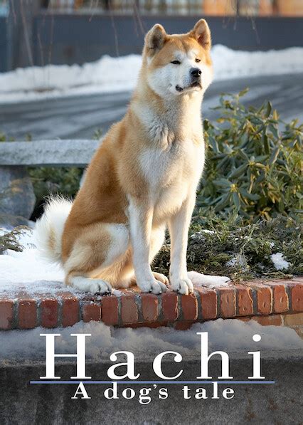 hachi: a dog's tale netflix|watch hachi a dog's tale 2009.